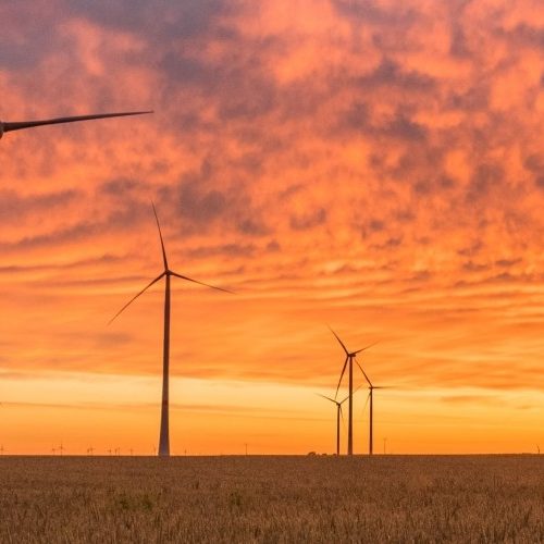 Photo of wind farm at dusk