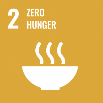 UN Sustainable Development Goals icon 2: Zero Hunger