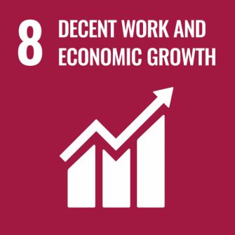 UN Sustainable Development Goals icon 8: Decent Work and Economic Growth