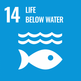 UN Sustainable Development Goals icon 14: Life Below Water