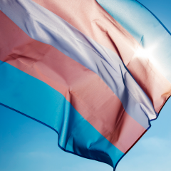 Transgender pride flag