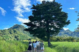 UNSW Employability CDEV3300 Global Practice of Work