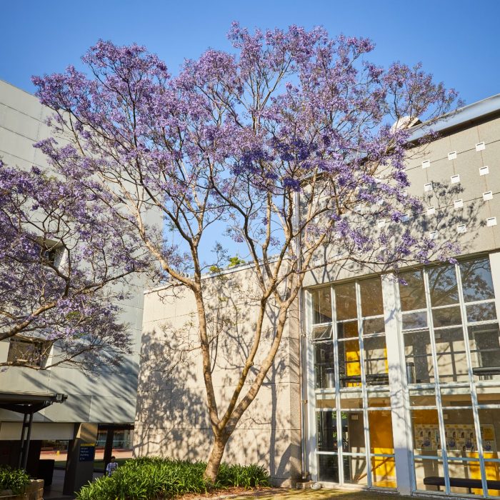 Event management flower trail