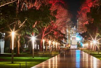 UNSW Kensington campus with coloured lighting to acknowlegde Naidoc week.