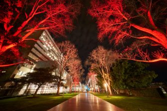 UNSW Kensington campus with coloured lighting to acknowlegde Naidoc week.