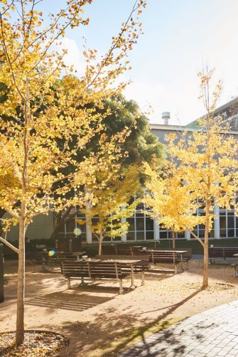 Kensington Campus