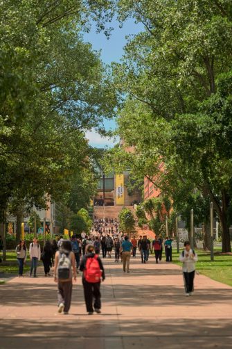 Students on the main walkway at UNSW Kensington.