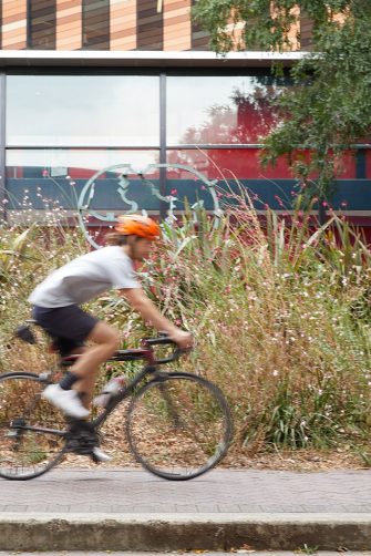 Father and daughter hiking on trail through forest
