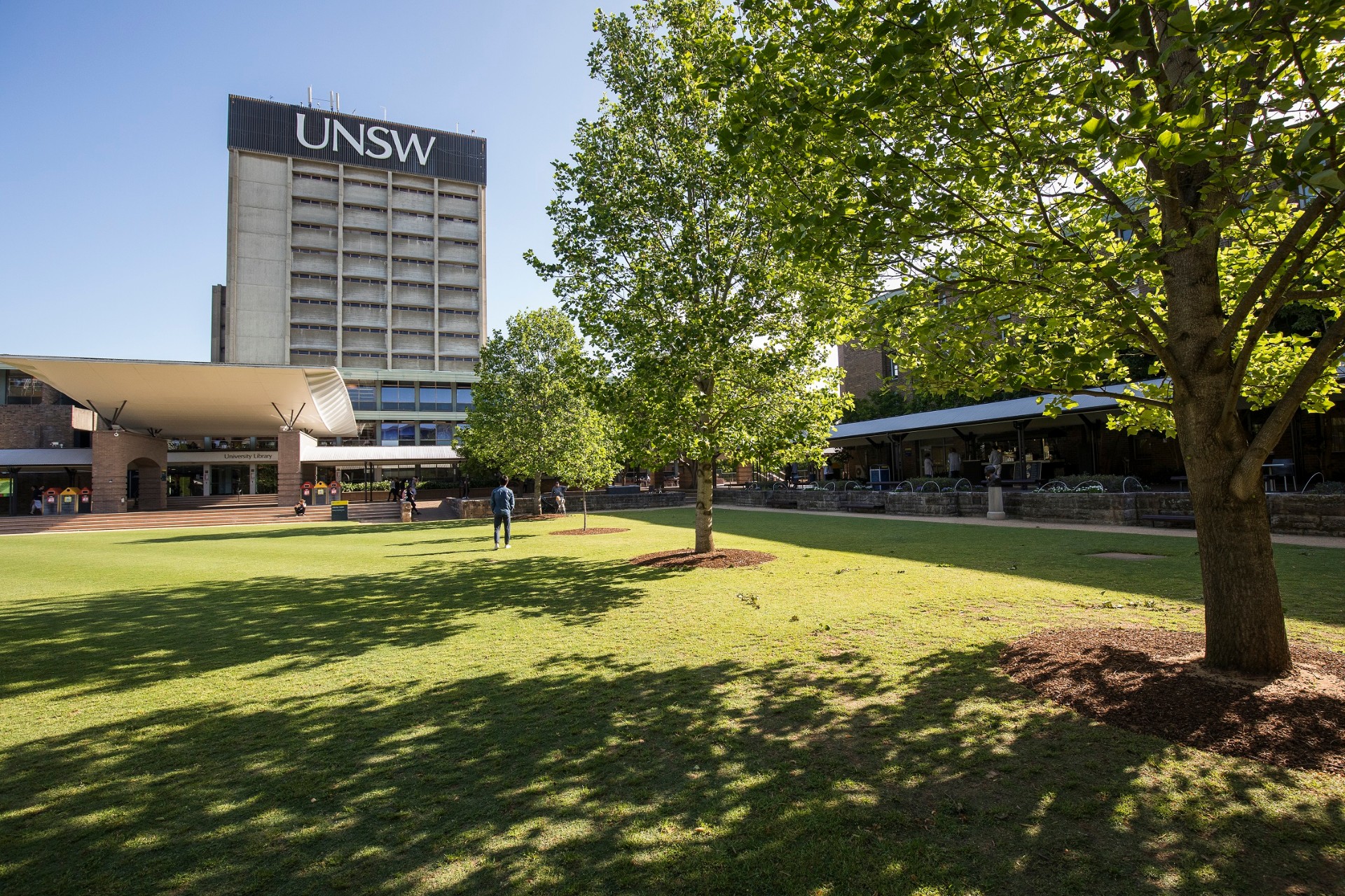Sunny UNSW Library lawn