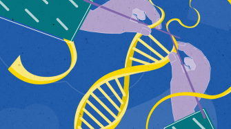 DNA being stitched together by knitting needles