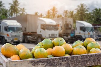 Orange Fruit and food distribution, tropical fruit of Thailand .Truck loaded with containers reefer control by ventilator mode to be shipped to the market.