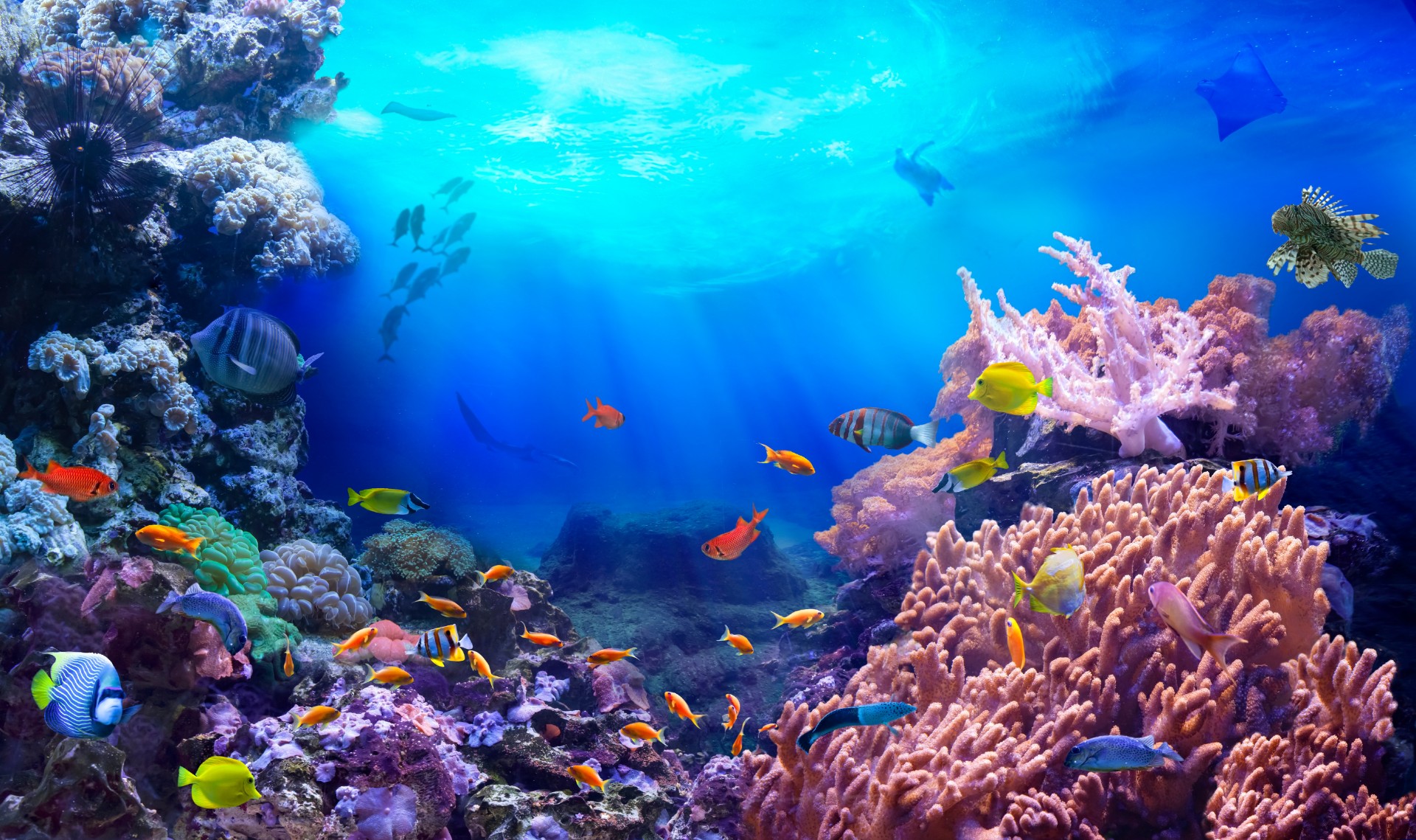 Life in a coral reef. Rich colors of tropical fish. Animals of the underwater sea world. Ecosystem. 