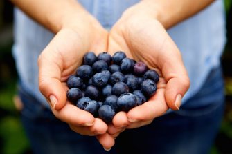 Close up portrait of handful of fresh blueberries