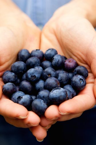 Close up portrait of handful of fresh blueberries