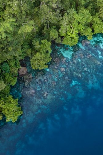 Lush jungle on a remote tropical island is fringed by a coral reef in the Solomon Islands. This beautiful country is home to spectacular marine biodiversity and many historic WWII sites.