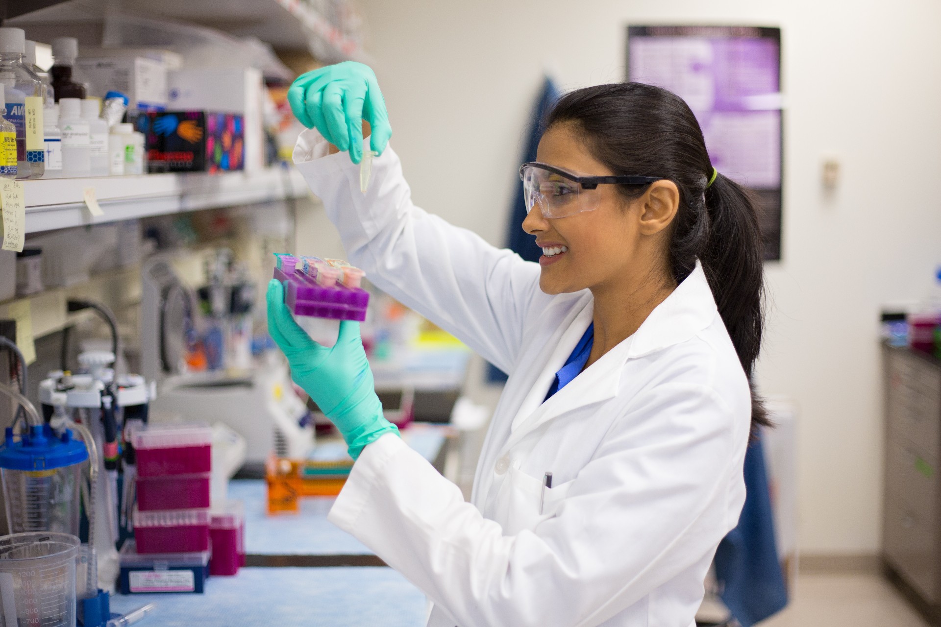 Closeup portrait, young scientist in labcoat wearing nitrile gloves, doing experiments in lab, academic sector.