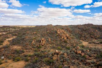 A river flows through a reedy landscape with a cloudy grey sky above.