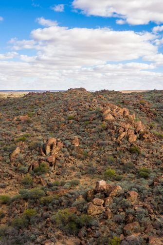 A river flows through a reedy landscape with a cloudy grey sky above.