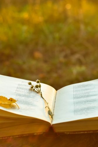 Vintage book of poetry outdoors with flower on it