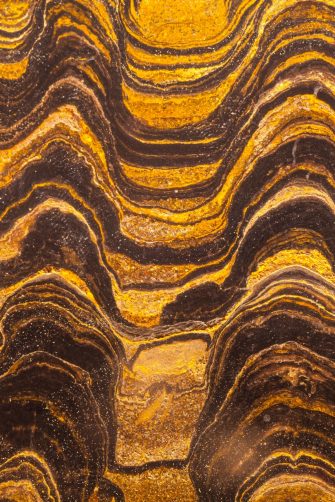 Stromatolites, microorganism fossils, Precambian period, Jurassic Museum of Asturias, Colunga Council, Asturias, Spain, Europe