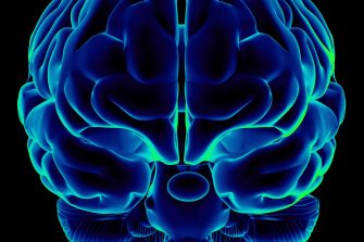 Human brain on front view and isolated on black background, great to be used in medicine works and health.