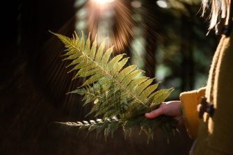 person holding fern