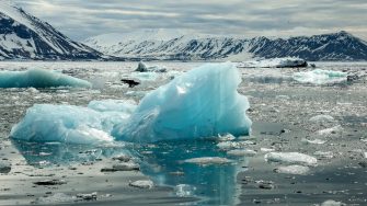  Ice floating in the ocean off the coast of Greenland