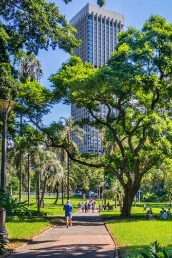 Elevated view of Hyde Park with Anzac War Memorial at dusk, Sydney, NSW, Australia