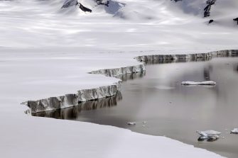 Lone penguin waddling on ice in Antarctica