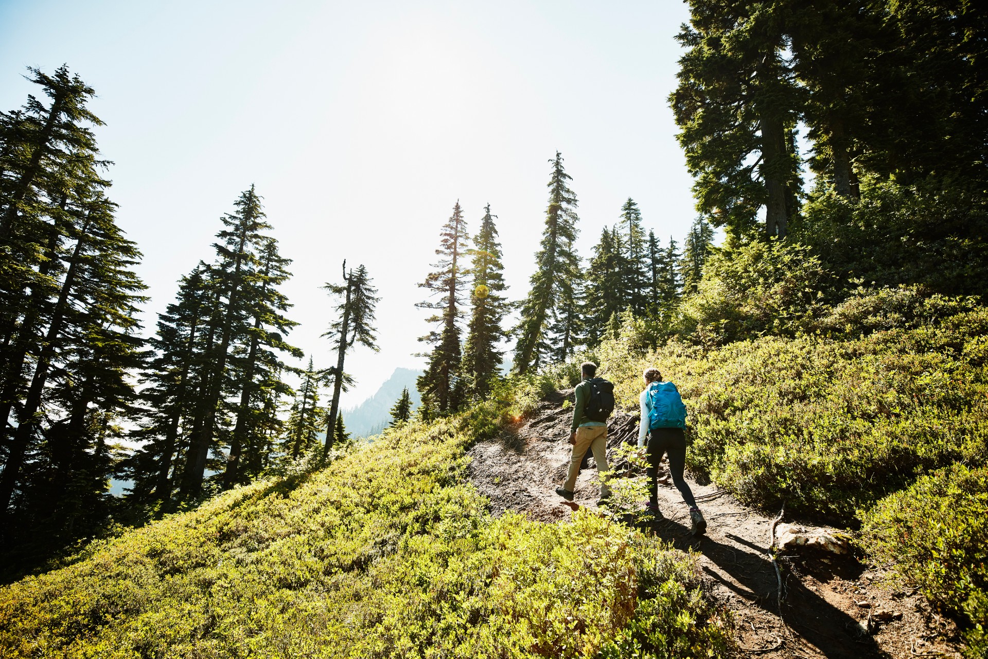 Father and daughter hiking on trail through forest