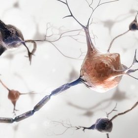 neurons and nervous system. 3d render of organic nerve cells