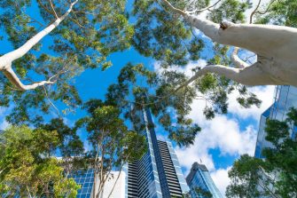  Sydney Skyline view from the Royal Botanic Gardens. It is the most central of the three major botanical gardens open to the public in Sydney. 