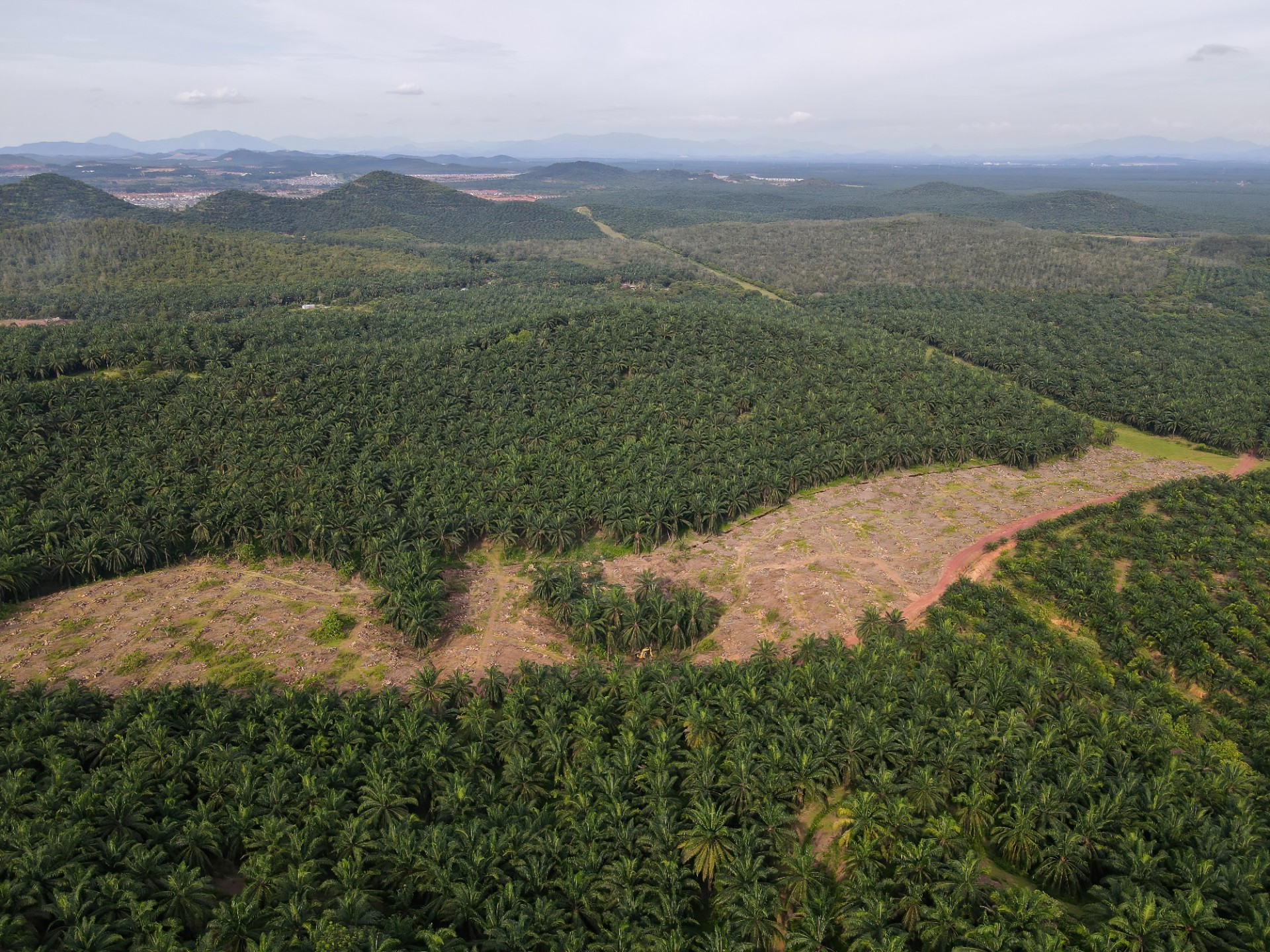Aerial view land clearing at palm oil farm in Malaysia for replant