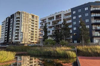 Three six to nine storey apartment buildings in Penrith with a pond in the foreground filled with grasses.