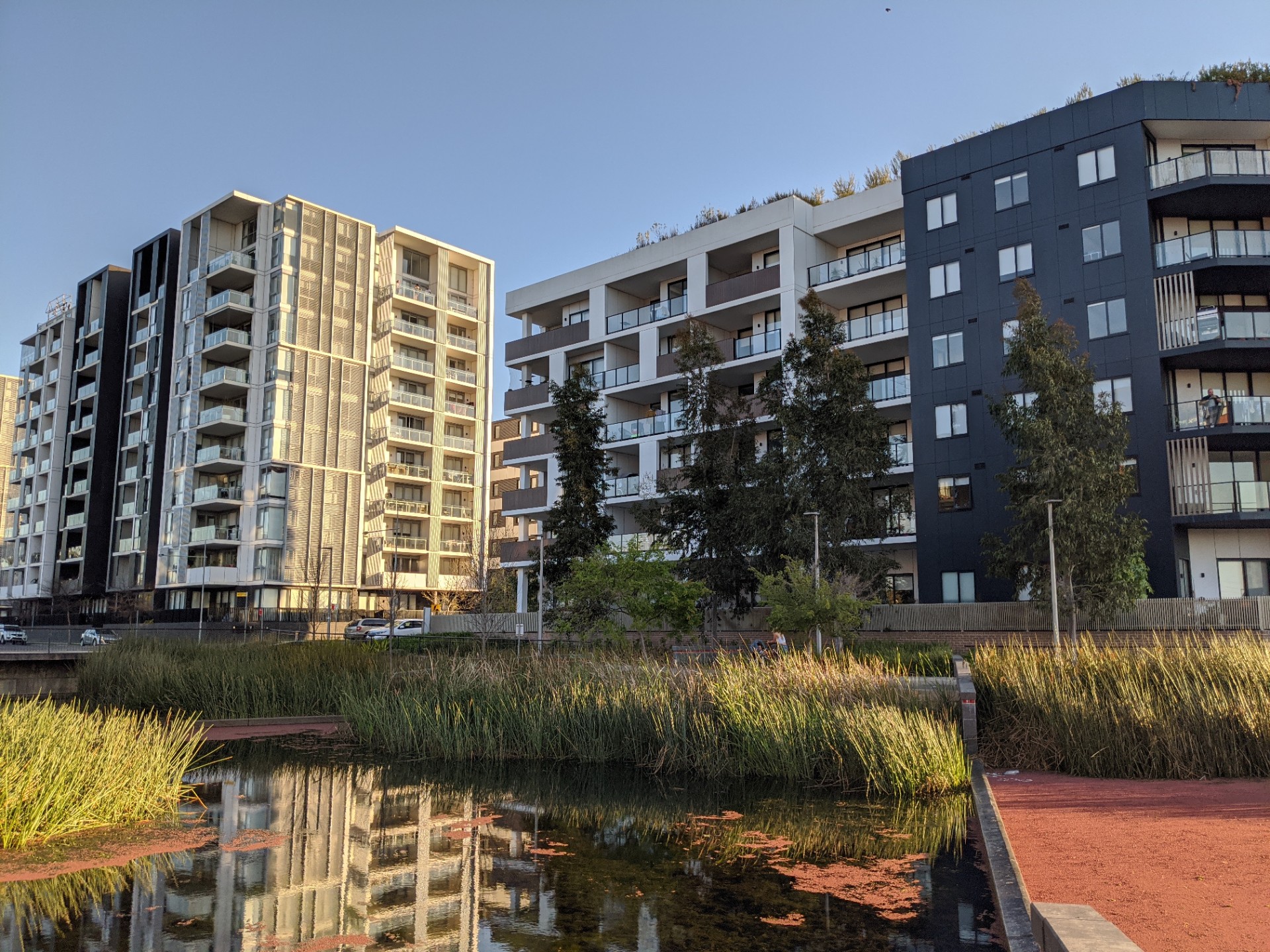 Three six to nine storey apartment buildings in Penrith with a pond in the foreground filled with grasses.