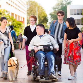 Inclusion of students with disability amongst UNSW students