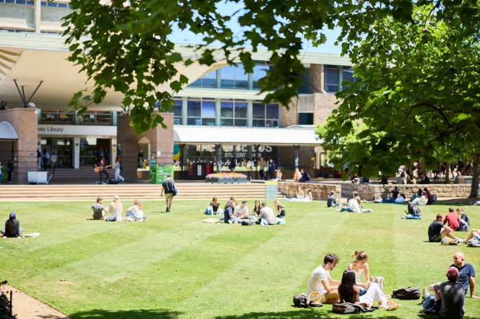 Students relaxing on Library lawn at Kensington UNSW.