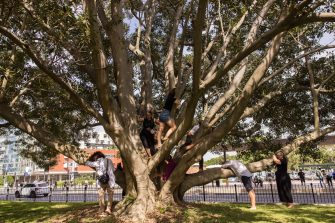 People hugging a giant tree as part of (Daily)Delight~Disrupt