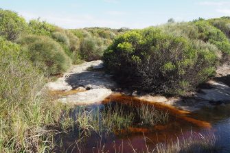 Caring for Country Initiative