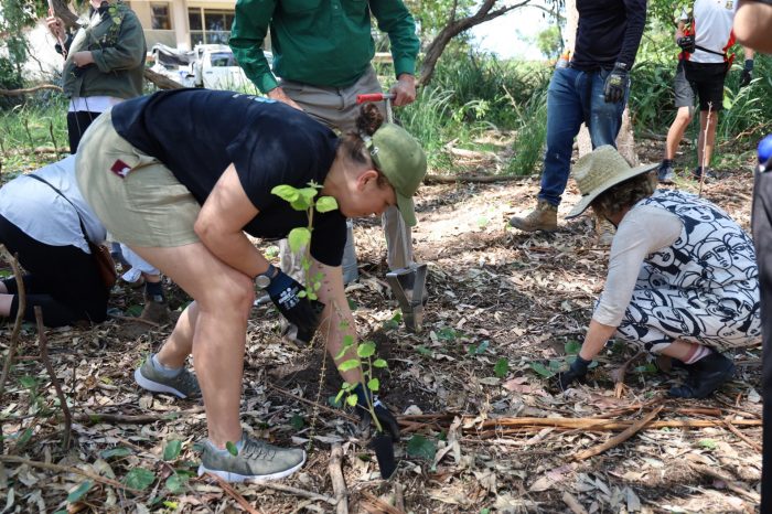 Caring for Country Initiative Soft Launch Days