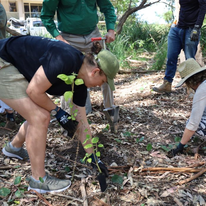 Caring for Country Initiative Soft Launch Days