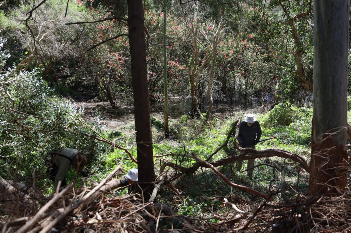 Caring for Country Initiative Soft Launch Days