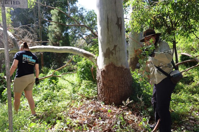 Caring for Country Initiative Soft Launch Days