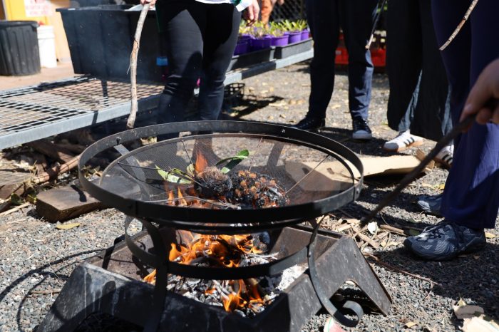 Caring for Country Initiative Soft Launch Days