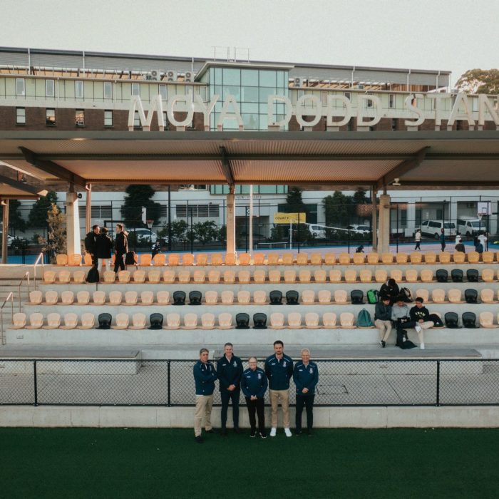 New Village Green Edit