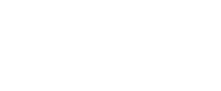 NAIC logo