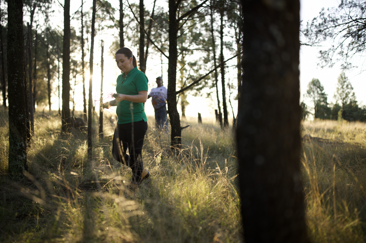 Cherie Thompson walking in bush