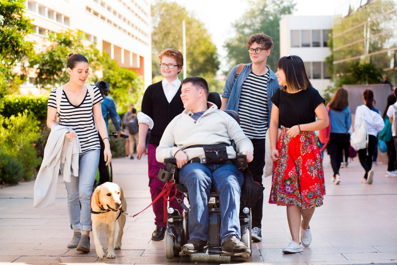 Inclusion of students with disability amongst UNSW students