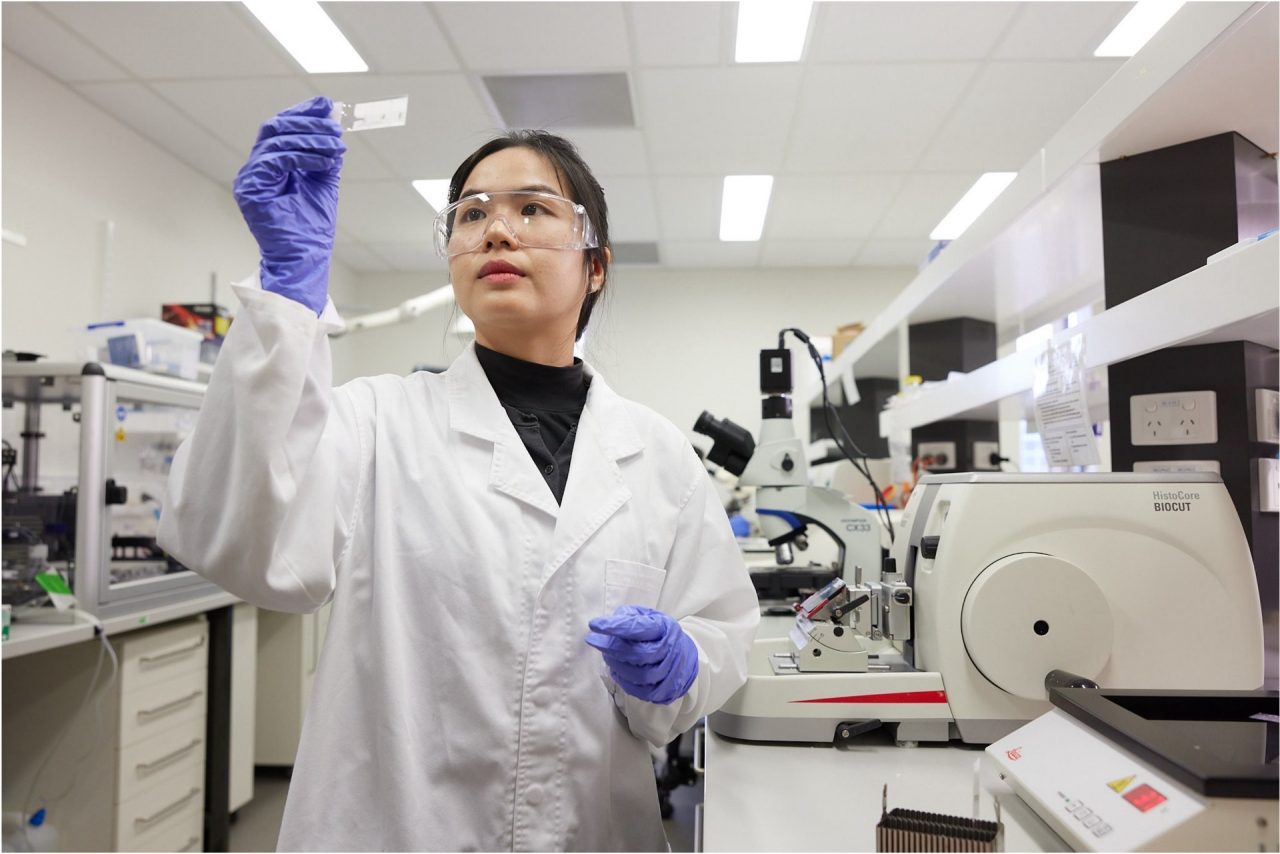 Cell culture histology