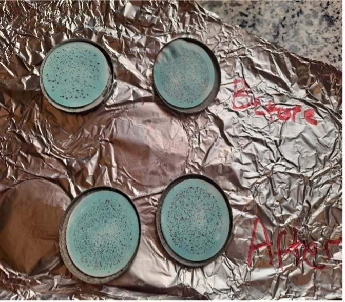 Figure 8: Results from microbial analysis of water samples collected before and after treatment by the UVC reactor in the older system.